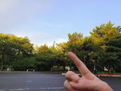 -北陵公园