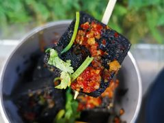 -黑色经典臭豆腐·湖南特产(潇湘文化店)