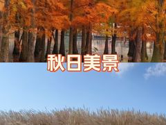 -白鹭湾湿地公园