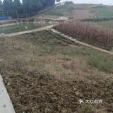 山清水秀的地方