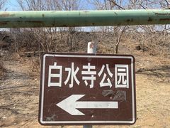 -白水寺森林公园