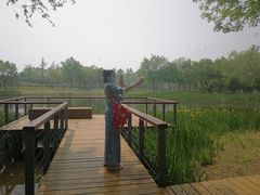 -东郊湿地公园