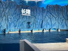 -珠海长隆海洋王国