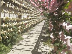 -盛世南宫影视城(北普陀影视城)