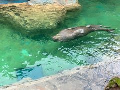-珠海长隆海洋王国