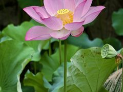 -福建鲤鱼洲酒店