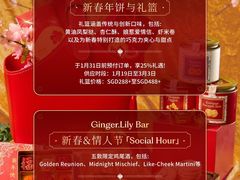 -新加坡乌节希尔顿酒店 (SG Clean)