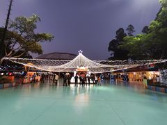 -广州长隆国际大马戏