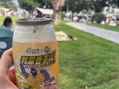 -海心沙亚运公园