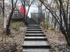 -帽儿山国家森林公园