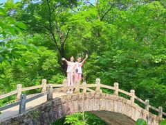 -三块石国家森林公园