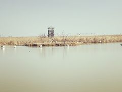 -盐城丹顶鹤湿地生态旅游区