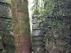 -梭布垭石林景区