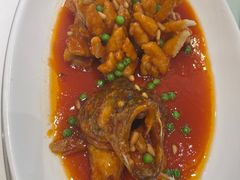 松鼠桂鱼-金时代顺风大酒店(金山店)