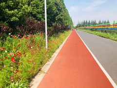 -上海长兴岛郊野公园