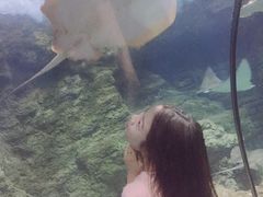 -南昌海洋公园
