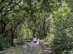 -富斯特索道