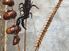 -人民防洪胜利纪念塔