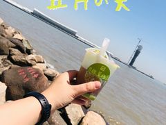 -上海吴淞炮台湾国家湿地公园