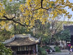 -秋霞圃