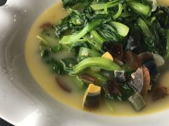 -云中小雅