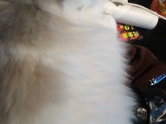 -暗楼·剧本杀·桌游