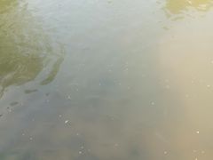 -中山市树木园