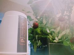 -Punchline Coffee&Roaster(同济大学店)
