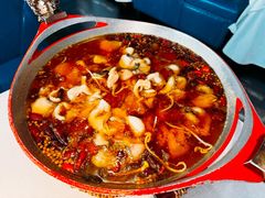 -蜀龙阁· 龍头水煮鱼(天坛店)