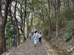 -平湖九龙山旅游度假区