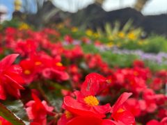 -文华公园(禅城区)