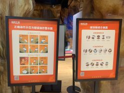 -探洞工场(丹尼斯7天地店)