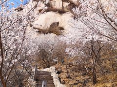 -北京凤凰岭