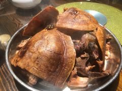 鲜茯苓煲草龟-农汤老店(顺联公园里店)