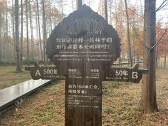 -黄海国家森林公园