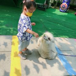 -萌宠亲子动物乐园(槐房万达店)