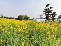 -武汉紫薇都市田园