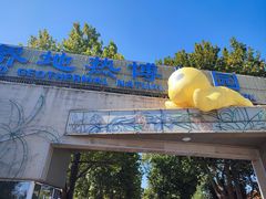 -南宫五洲植物乐园