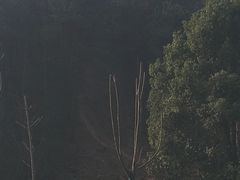 -青龙山国家森林公园