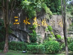-三水森林公园
