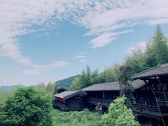 -大唐贡茶院