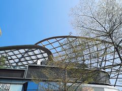 -方腻·3平方柠檬茶