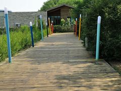 -长白岛森林公园