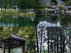 -四海公园(南山区)