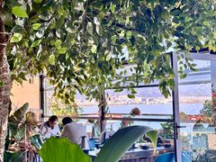-野菌皇海景野生菌火锅(滨海大道店)