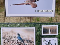 -野鸭湖国家湿地公园