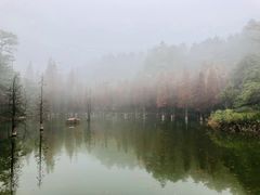 -广州市帽峰山景区