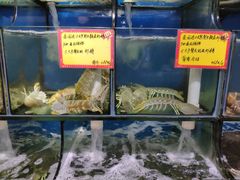 水产区-蚝专家(北滘店)