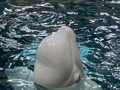-杭州长乔极地海洋公园