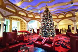 -华侨城洲际大酒店·宴会厅